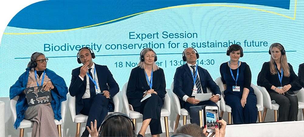 The 29th session of the Conference of the Parties (COP29) to the UN Framework Convention on Climate Change