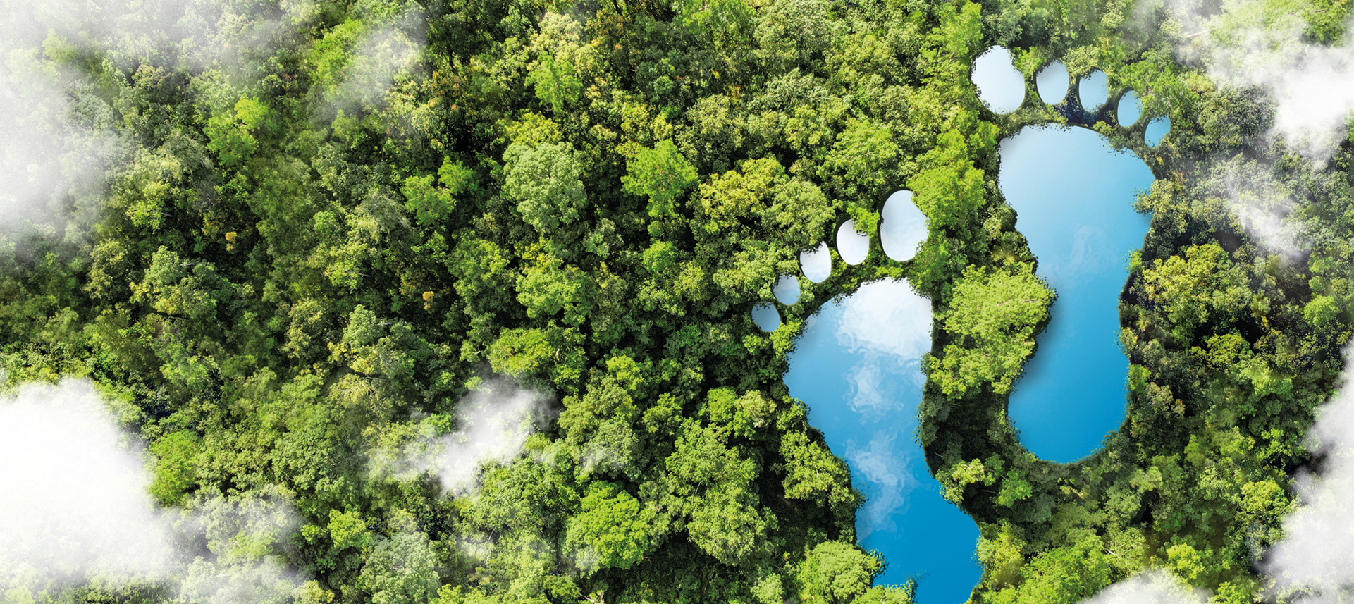 ORGANIC GROWTH AND DEVELOPMENT