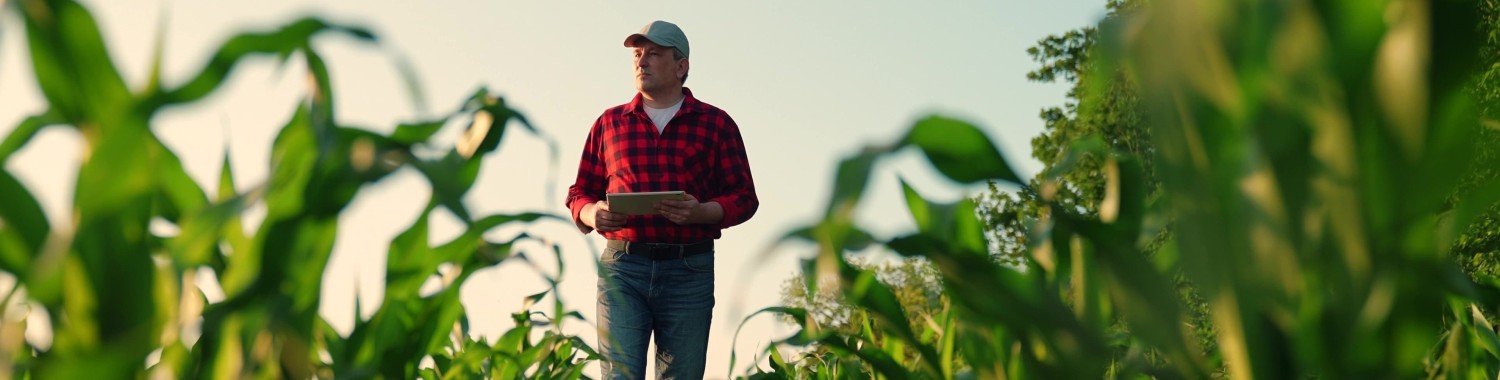 A man in a field