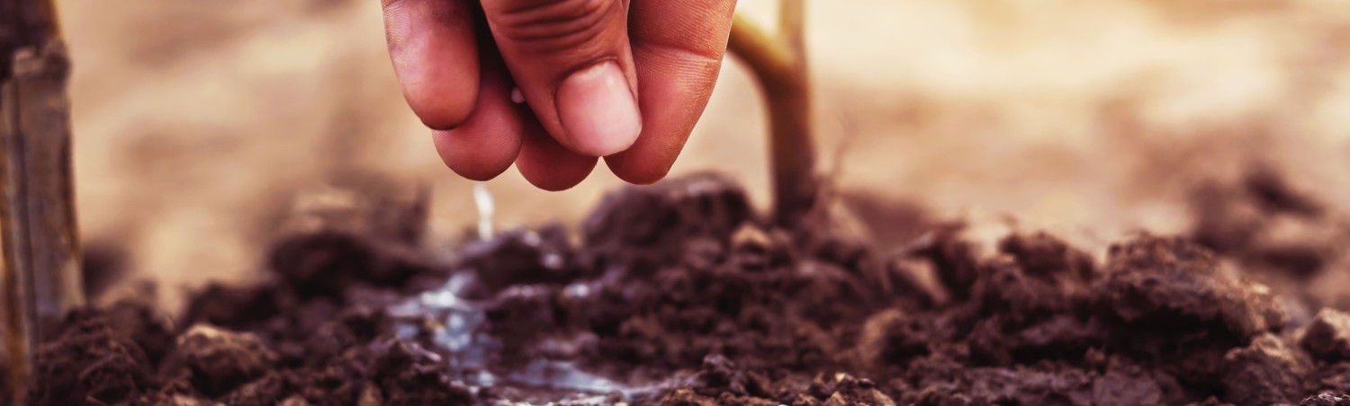 Soil